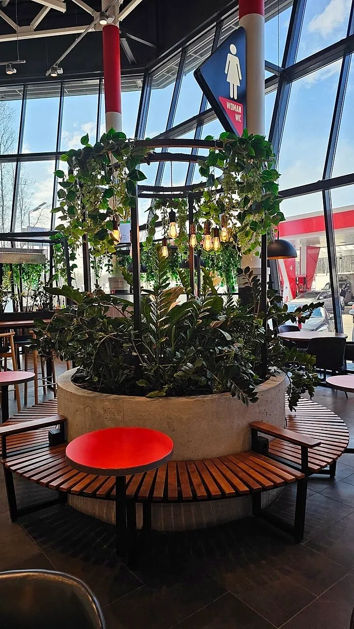 Round bench and planter under a steel frame with hanging lights