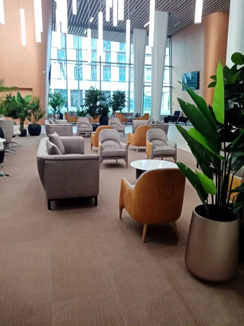 Grey and ochre armchairs among planters