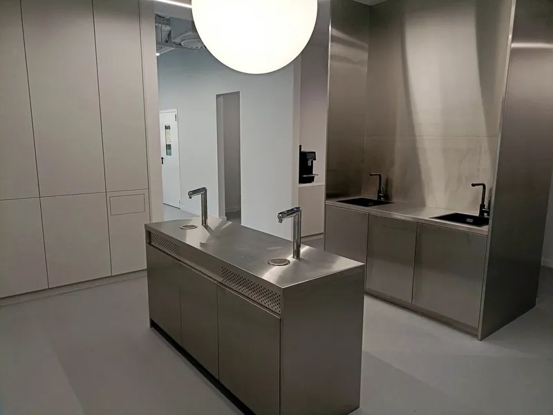 Brushed stainless island and back counter with sinks