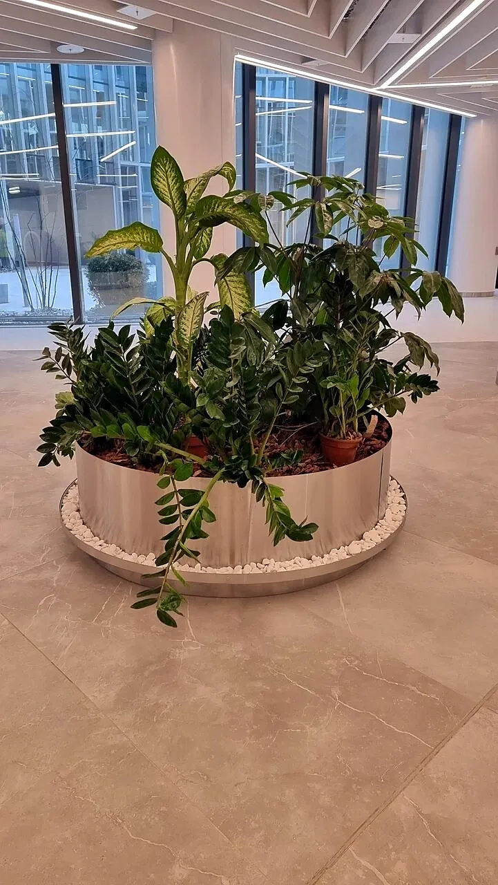 Round planter in polished stainless steel in a sunlit hall